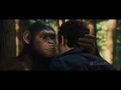 "leche moi les couille"