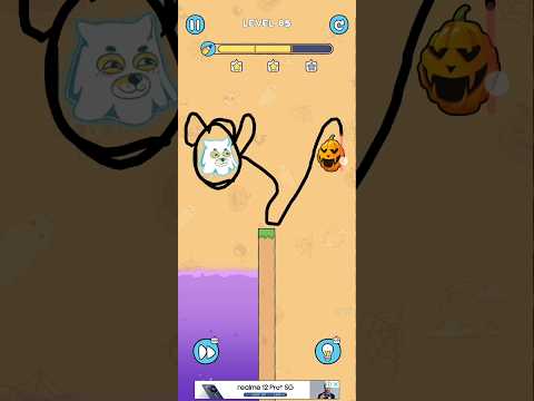 cat🐈😺😎  #short #shorts #video