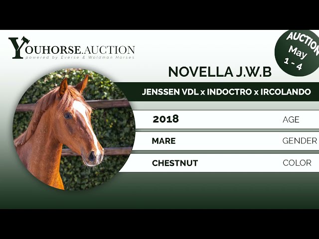 Novella J.W.B.
