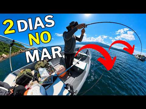 ✅A mais ÉPICA PESCARIA no Rio de Janeiro! PESQUEIRO da Ilha Grande!