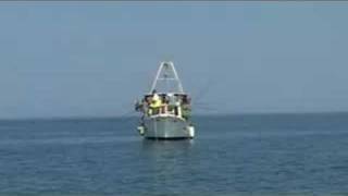 preview picture of video 'Istra.hr  -  Novigrad, Istria - 2008. World Boat Fishing Championship U-21'
