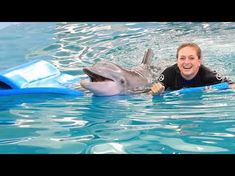 Winter's Rescue Anniversary