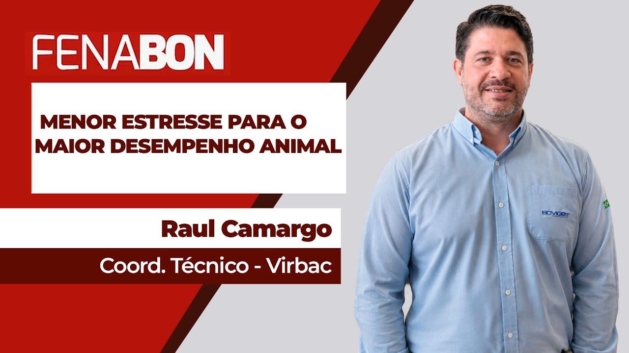 Do nascimento ao confinamento o estresse animal é fator importante de redução de desempenho