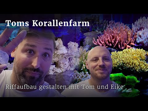 Tom und Eike erklären, wie man einen Riffaufbau gestalten sollte