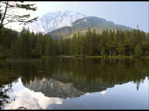 Neue Steierische Tänze op. 61 - Johann Strauss II