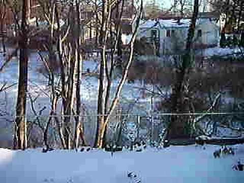 Treasure Lake, Cliffwood Beach, New Jersey, December 2009