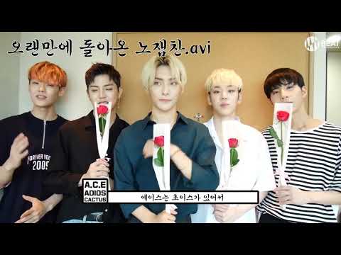 [Eng Sub] A.C.E Wrapping up Cactus Promotions