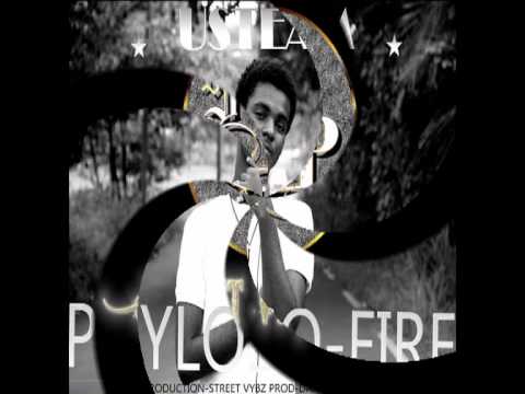 PhysoLo-Fire Usteam Feat Ti-Zen