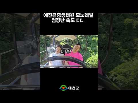 [예천곤충페스티벌] 모노레일 폼 미쳤다!(positive) #shorts