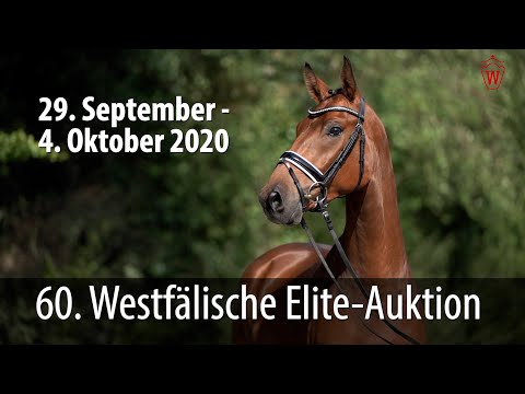 60. Westfälische Elite-Auktion 4. Oktober 2020