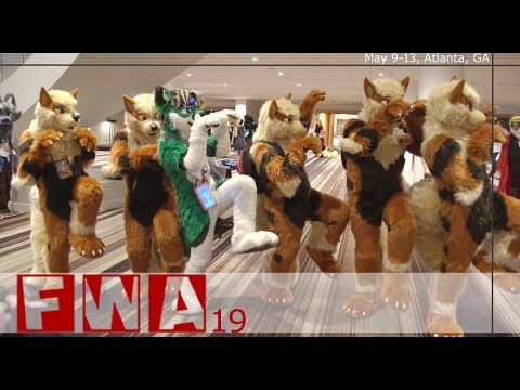 Furry Weekend Atlanta 2019 Con Video (FWA 2019) – Furry Times