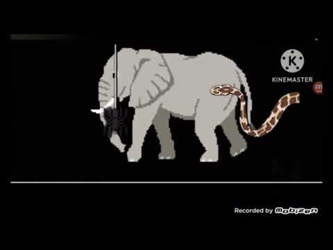 Animals book version collection stampede