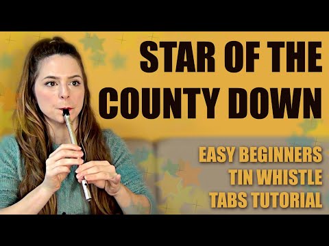 STAR OF THE COUNTY DOWN | Irish Tin Whistle Tutorial - EASY For Beginners