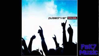 Pulsedriver- Youth Of The Nation