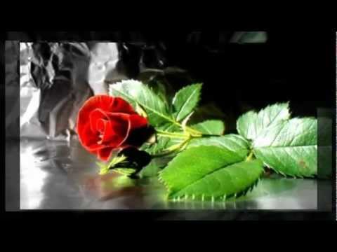 Corina feat Pacha Man-Pernle moi