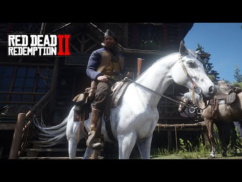 O DOMADOR DE CAVALOS - PERSONALIZANDO o PURO SANGUE ÁRABE