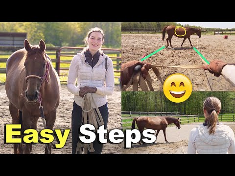HOW TO LUNGE A HORSE FOR BEGINNERS 😊 🐴 | Without A Round Pen