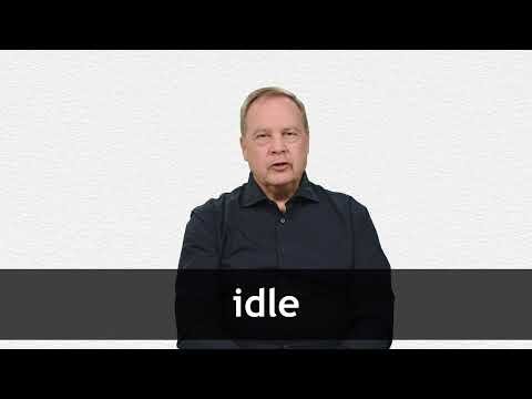 IDLE definition in American English