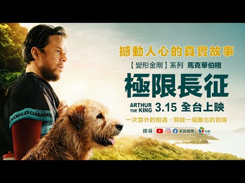0315【極限長征】台灣官方正式預告︱真人真「狗」熱血故事改編，勵志完賽過程撼動人心！