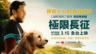 0315【極限長征】台灣官方正式預告︱真人真「狗」熱血故事改編，勵志完賽過程撼動人心！