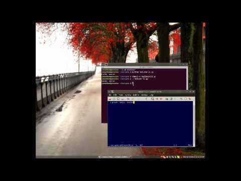 Python Part 2 Hello World
