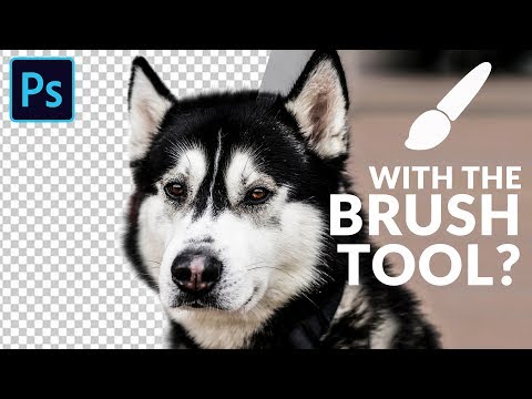 How to Set Up and Use a Wacom Tablet