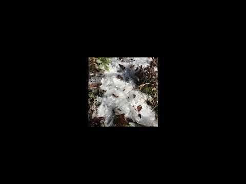 Masterknot - Live Recordings 2018