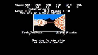 Alternate Reality: The City for the Apple II