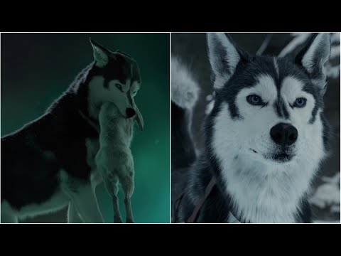 [The Call of the Wild (2020)] The Complete Animation of Spitz