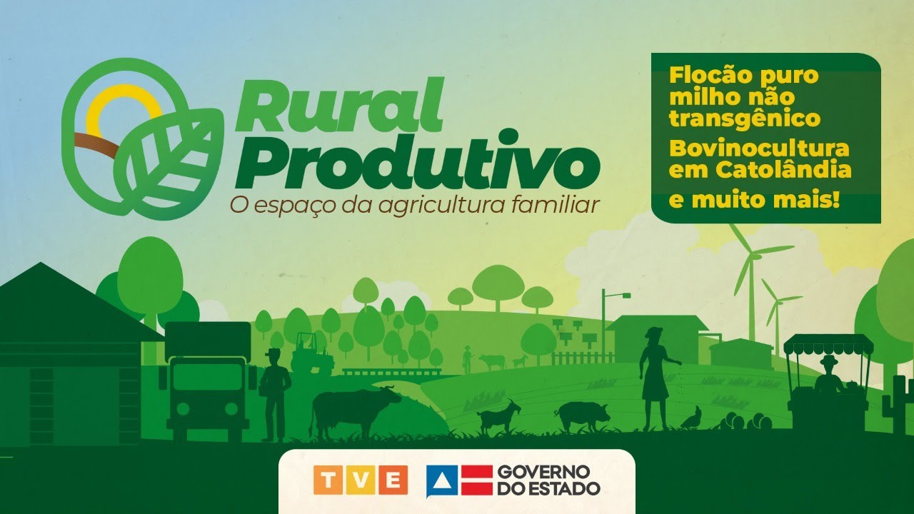 FLOCÃO DE MILHO NÃO TRANSGÊNICO E BOVINOCULTURA EM CATOLÂNDIA SÃO DESTAQUES DO RURAL PRODUTIVO