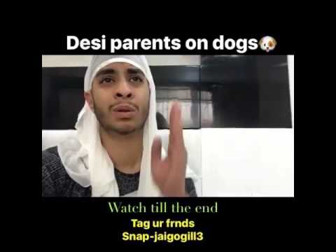 Desi parents on dogs!!😂 #jaigogillvines