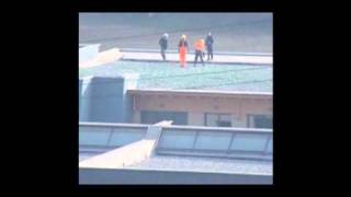preview picture of video 'Rimozione Simboli Leghisti dal tetto della Scuola di Adro (BS) 9 Febbraio 2011'