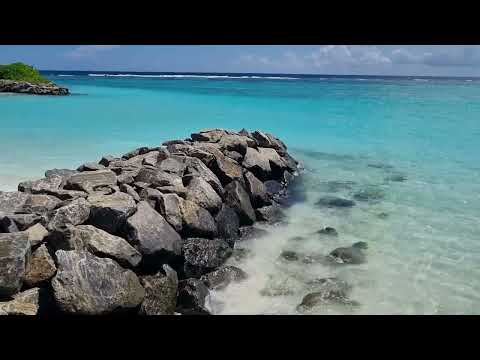 Videos del Joy Island Maldives 5★ en Malé, MaldivasVer MásVerPrecios16CerrarConsulta por Whatsapp 🇦🇷BookingTripadvisorExpediaAgodaTravelocityOrbitzTripSkyscannerDespegarHotelesTrivagoLastminuteHotwireCheapticketsTuiWotif