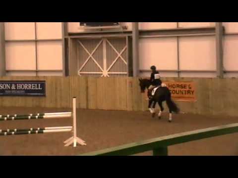 GRAFENSTOLZ BBSH stallion event Hartpury 2011