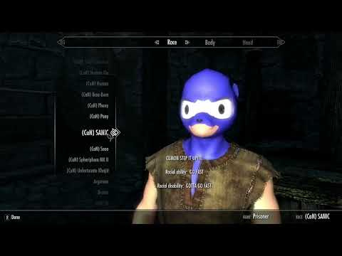 What Modding Skyrim Special Edition Looks Like
