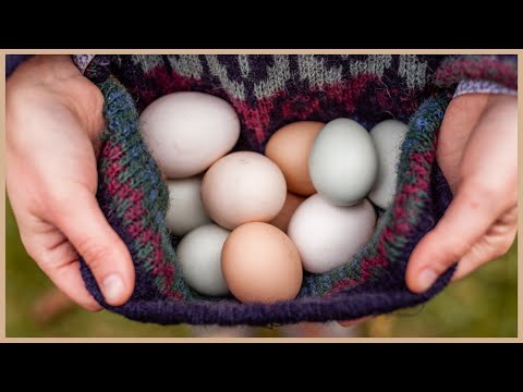 , title : 'Eier ein Jahr lang haltbar machen (roh + ohne Kühlung!)'