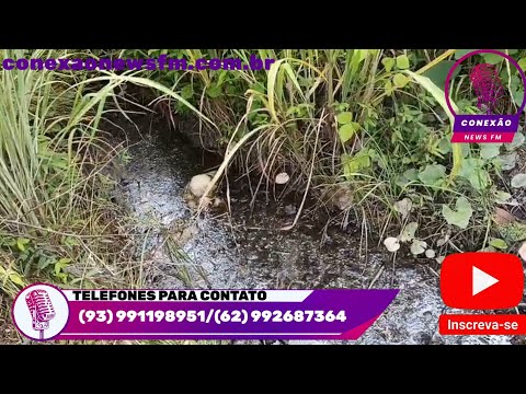 Denúncia de Moradores da Rua Acácia Sobre Terreno Sujo com Água Parada