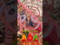Happy Rath Yatra 2025 Lyrics Newlyrics Video Song