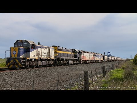 9158 QUBE Broad Gauge Grain Train At Gheringhap - PoathTV Australian Railways