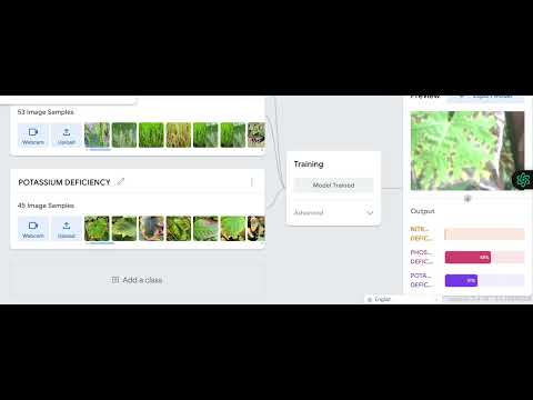 Project demo 5
