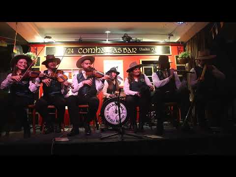 Melbourne Ceili Band live at Sydney Fleadh 2024