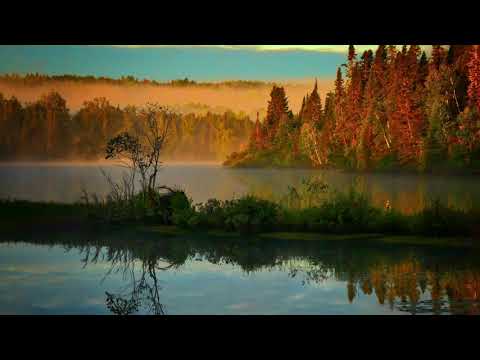 8 Hours Haunting Loon Call & Chirping Crickets On A Windy Evening~ *NO MUSIC*