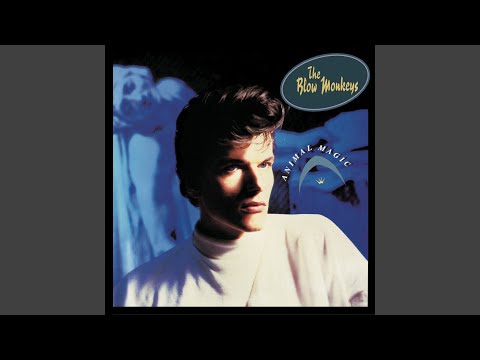 Wildflower - The Blow Monkeys