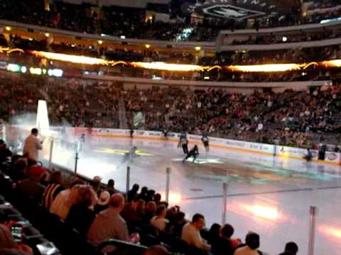Dallas Stars