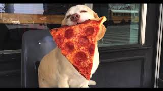 ken the wolf boy {cover}