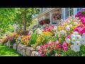 Summer Flower Garden Tour 2026 Stunning Front Yard Designs The Garden Everyone Must See