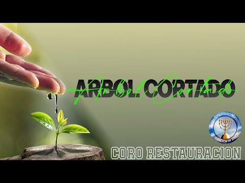 ÁRBOL CORTADO - Coro Restauracion