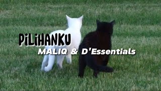 Pilihanku - MALIQ &amp; D&#39;Essentials | lyrics music (song indonesia)