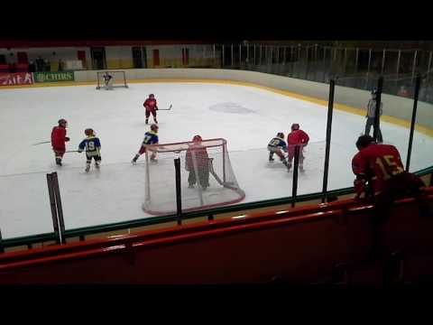 20170225 HC Slavia - Kobra A Minihokej 2008