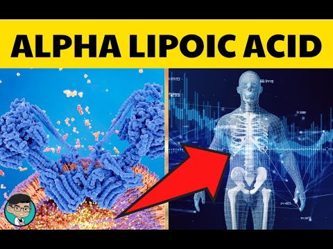 , title : 'Alpha lipoic acid giúp giảm cân như thế nào? | @bacsivudaiduong'